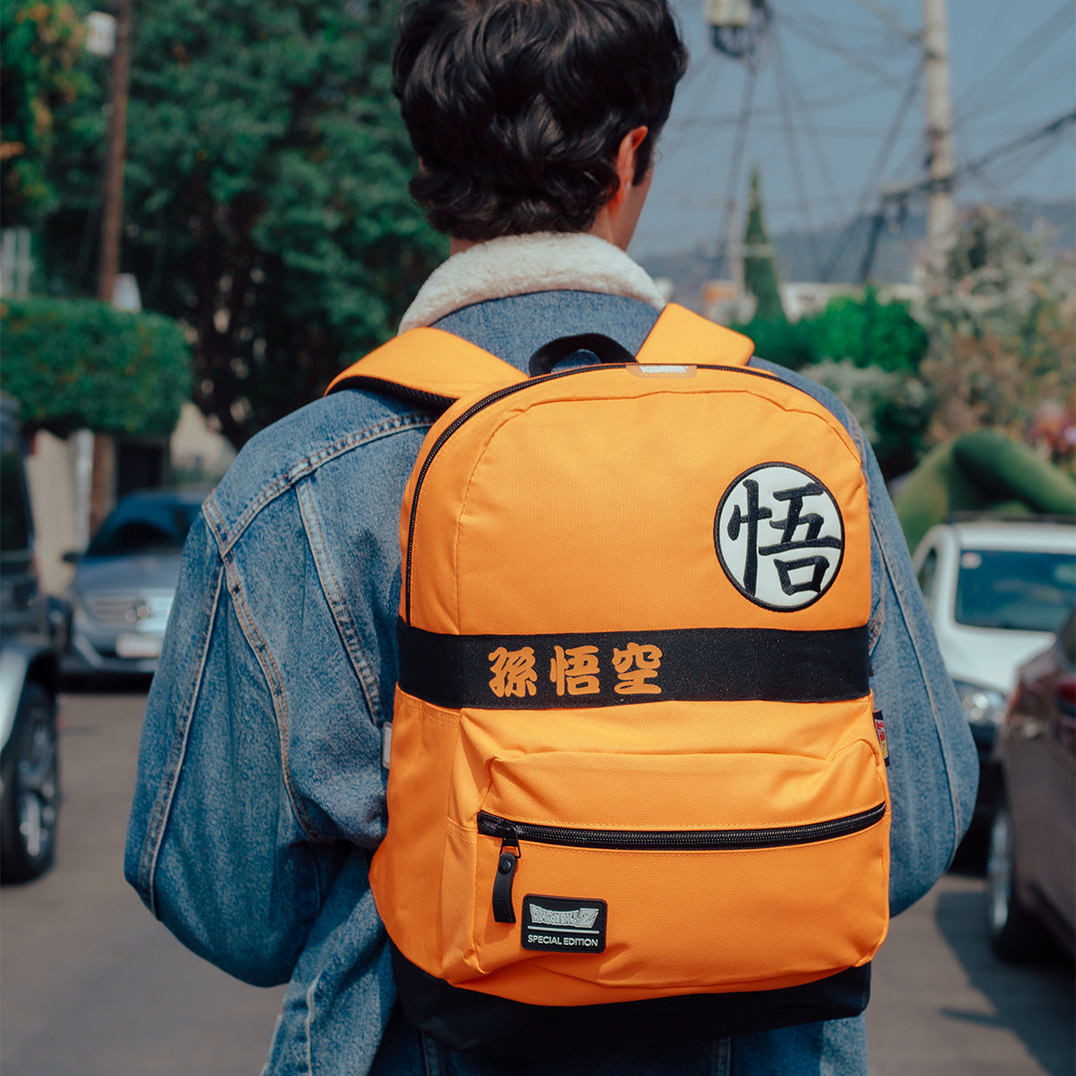 Mochila Dragon Ball Z Escolar Goku