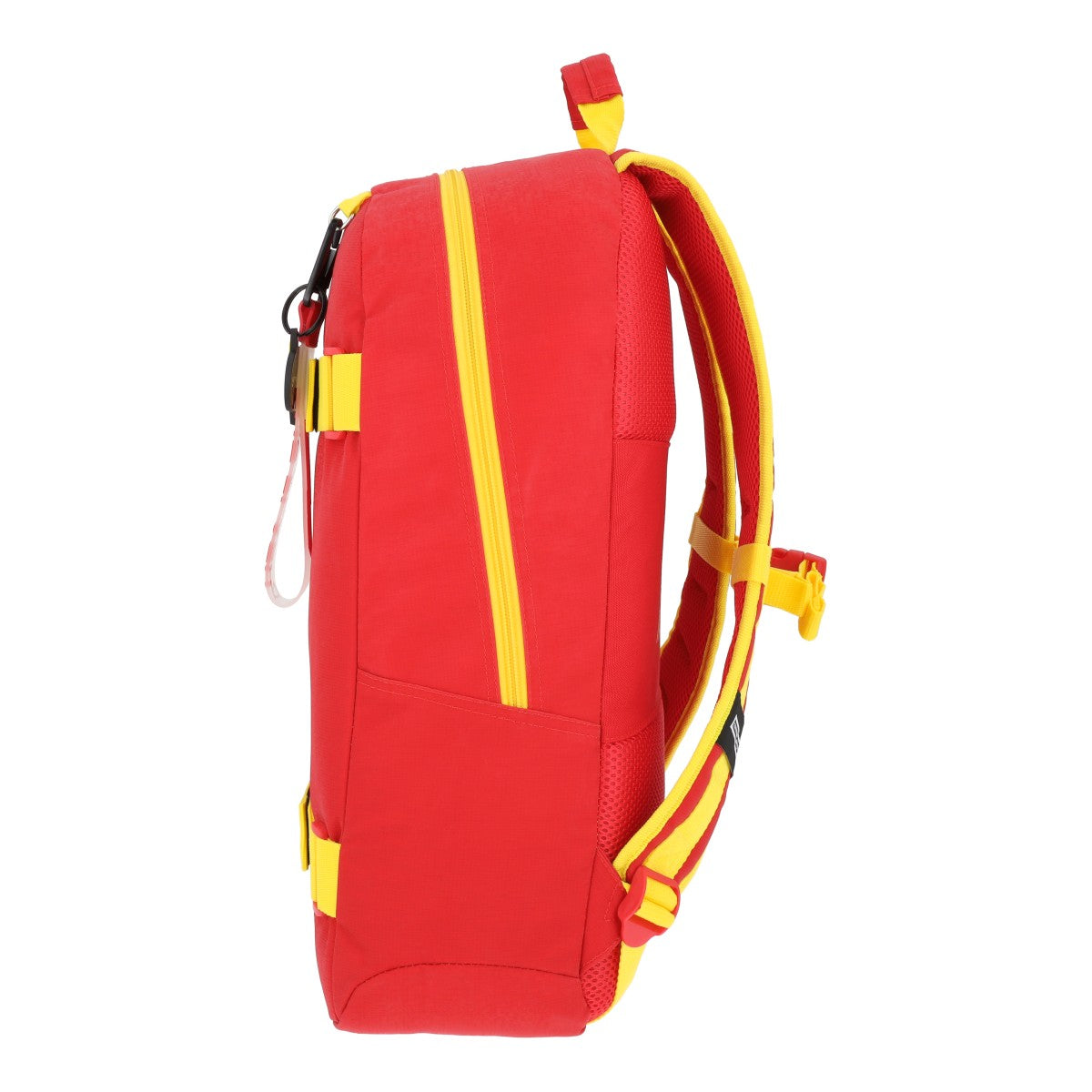 Mochila Flash Skate 001